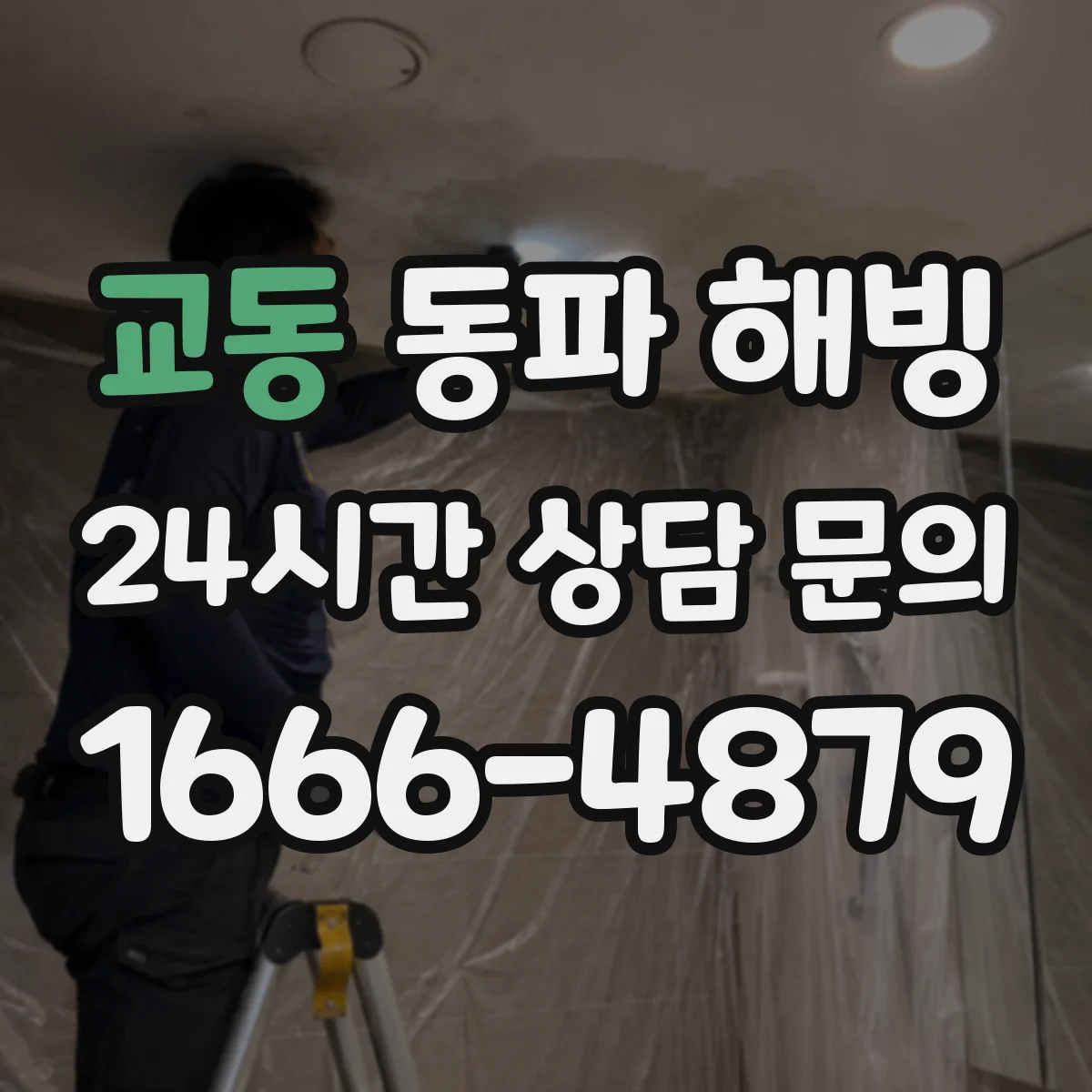 교동 동파 해빙