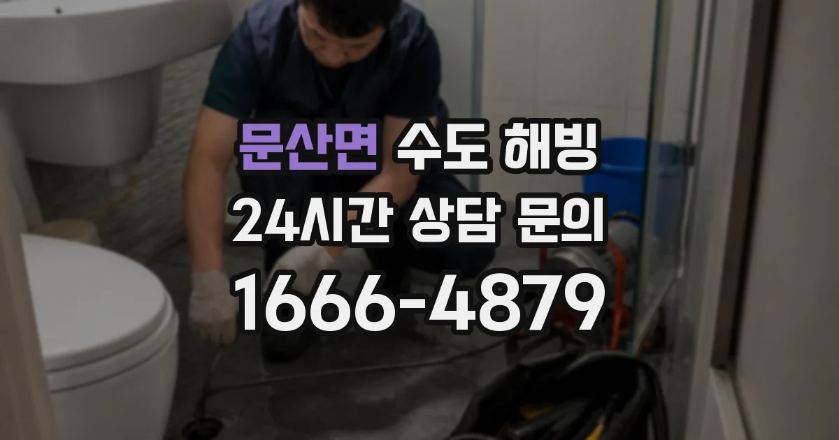문산면 수도 해빙