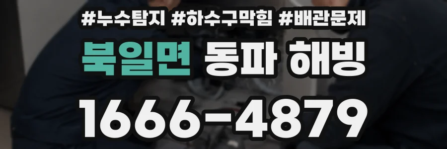 북일면 동파 해빙