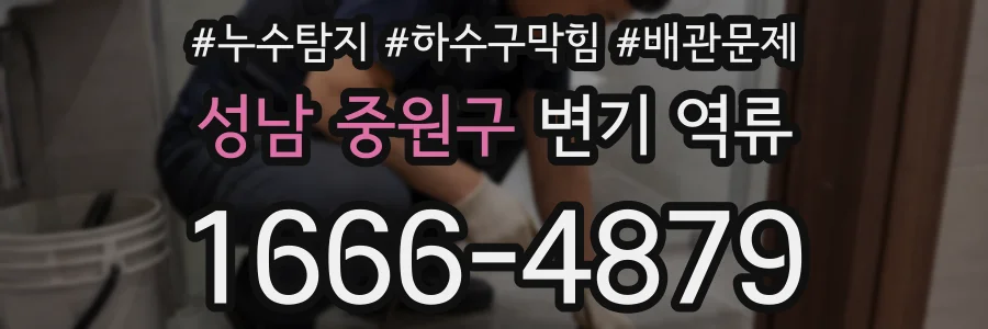 성남 중원구 변기 역류