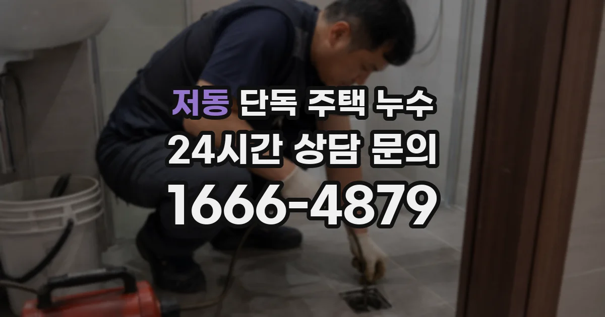 저동 단독 주택 누수