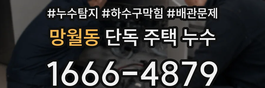 망월동 단독 주택 누수