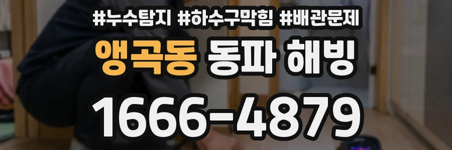 앵곡동 동파 해빙