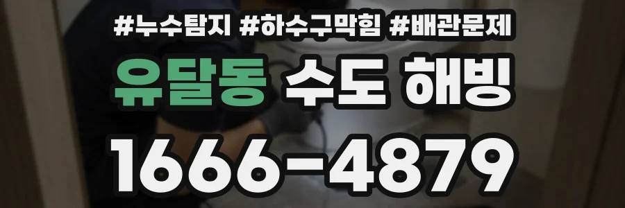유달동 수도 해빙