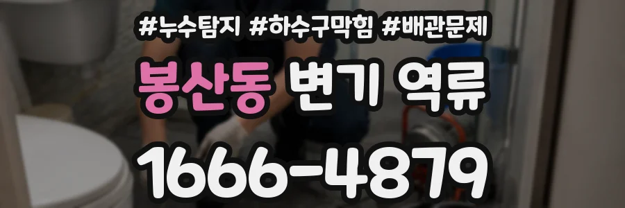 봉산동 변기 역류