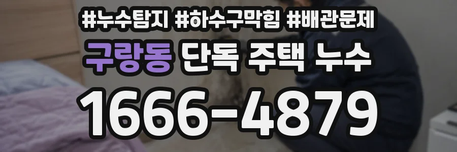 구랑동 단독 주택 누수