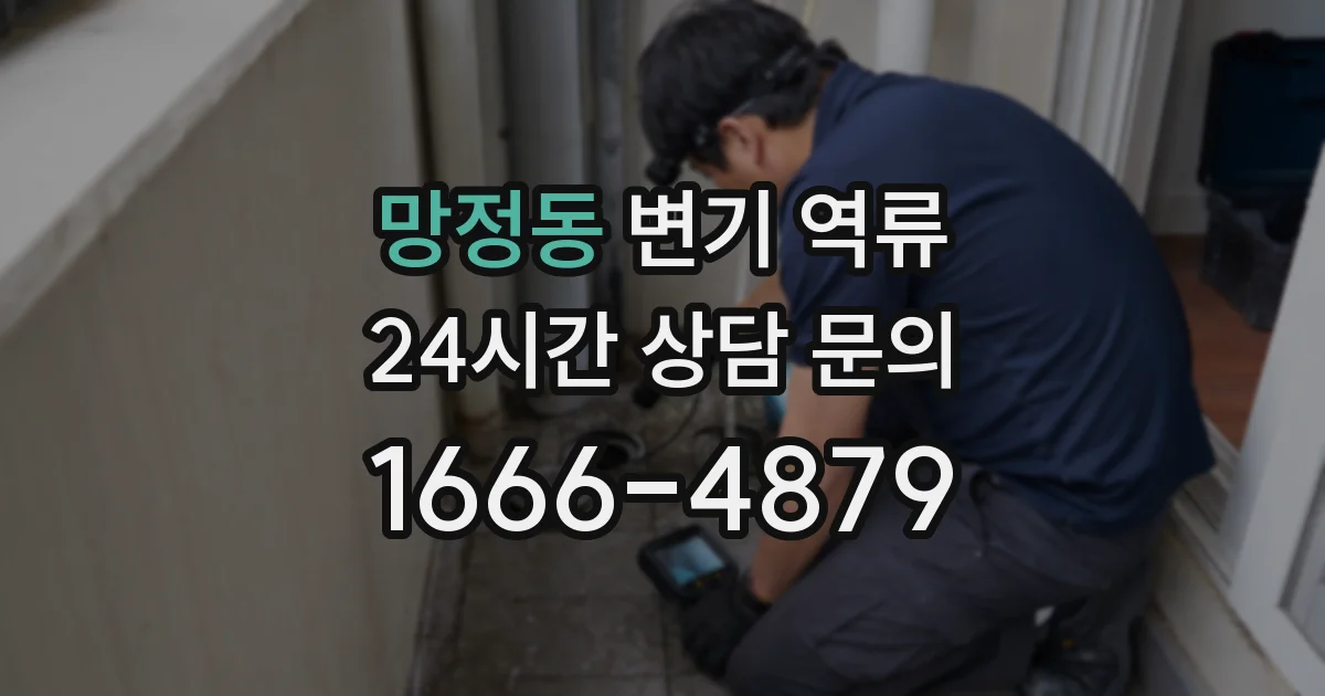 망정동 변기 역류