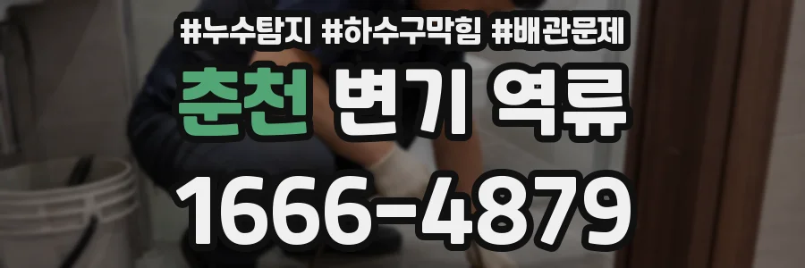 춘천 변기 역류