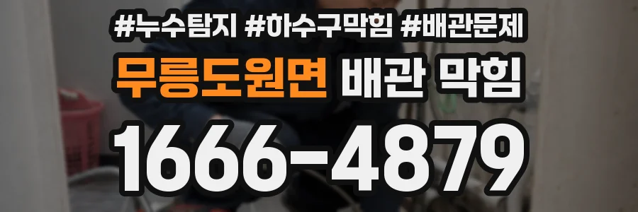 무릉도원면 배관 막힘