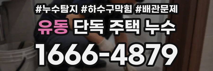 유동 단독 주택 누수