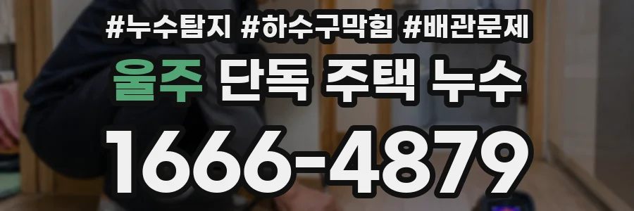 울주 단독 주택 누수