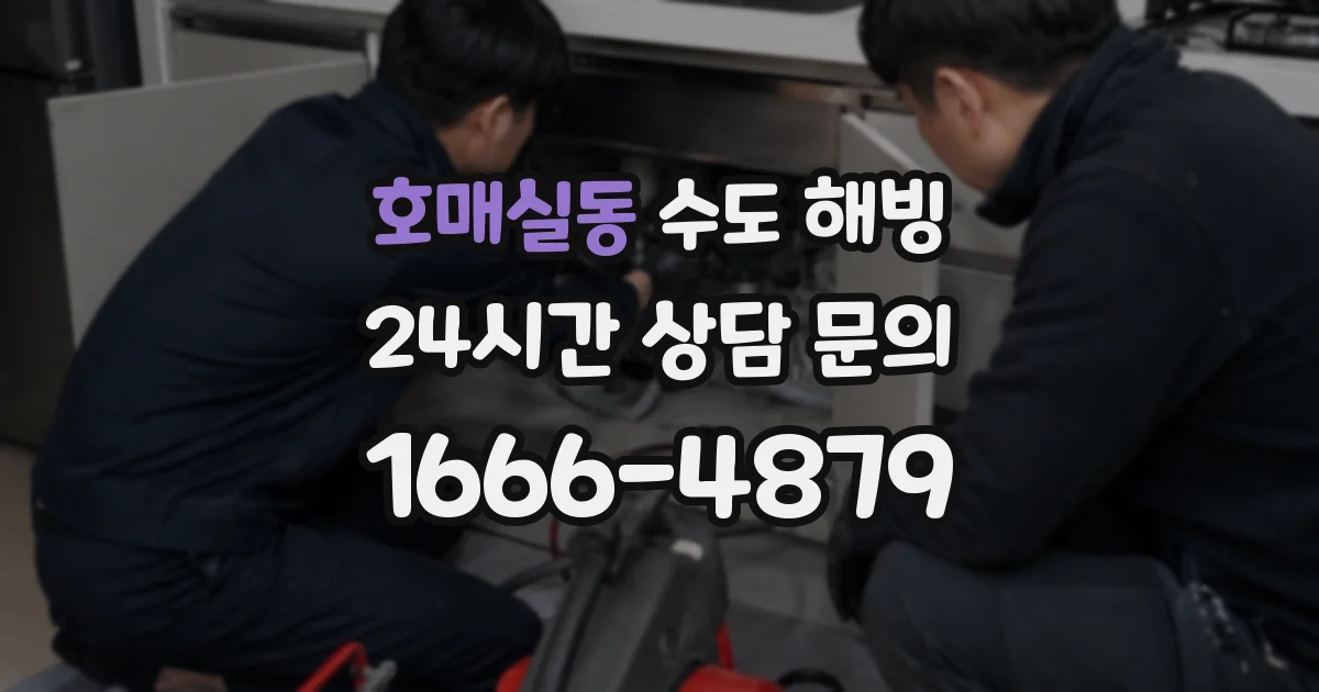 호매실동 수도 해빙