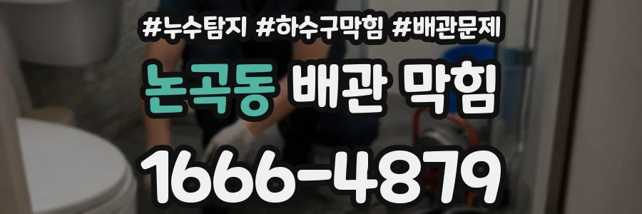 논곡동 배관 막힘