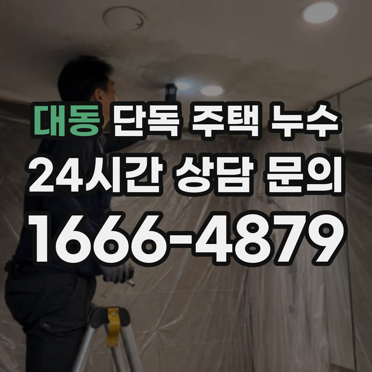 대동 단독 주택 누수