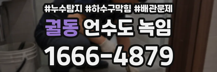 궐동 언수도 녹임