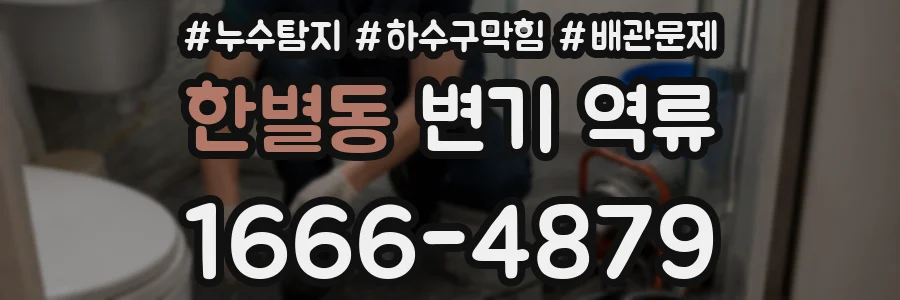 한별동 변기 역류
