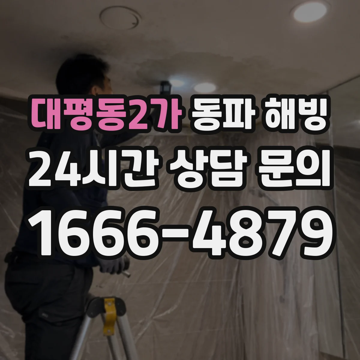 대평동2가 동파 해빙