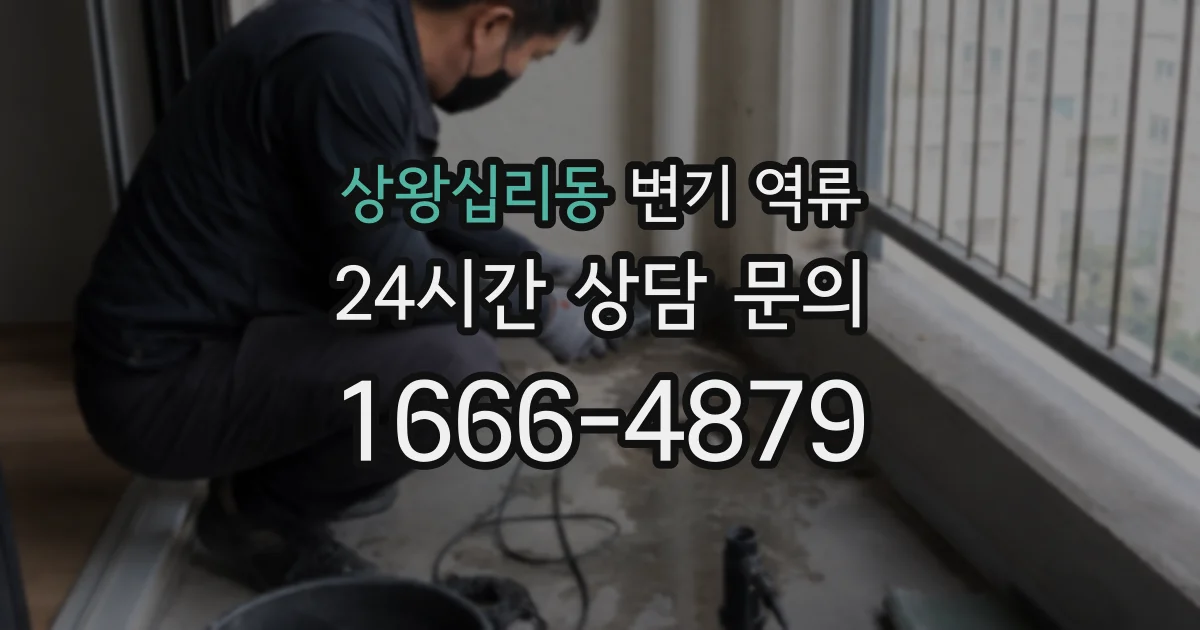 상왕십리동 변기 역류