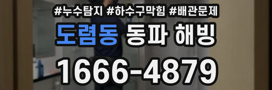도렴동 동파 해빙