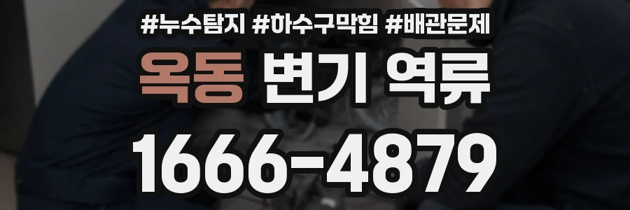 옥동 변기 역류