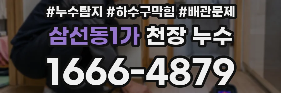 삼선동1가 천장 누수