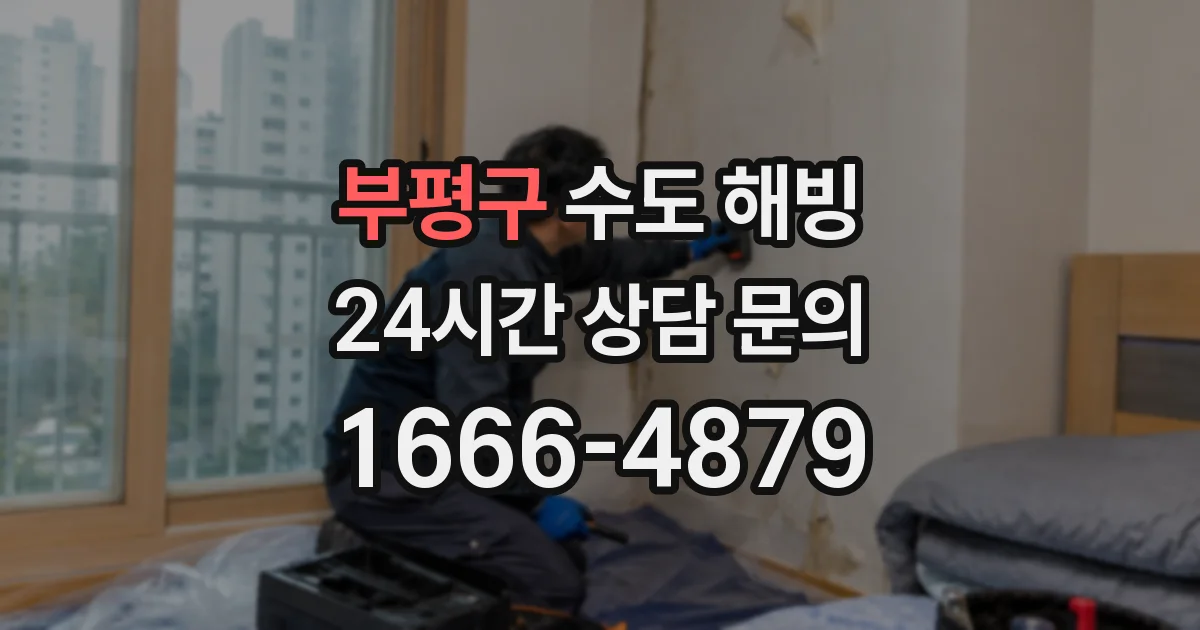 부평구 수도 해빙