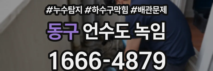 동구 언수도 녹임