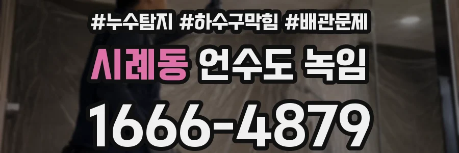 시례동 언수도 녹임