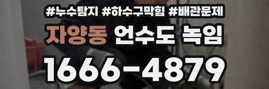 자양동 언수도 녹임
