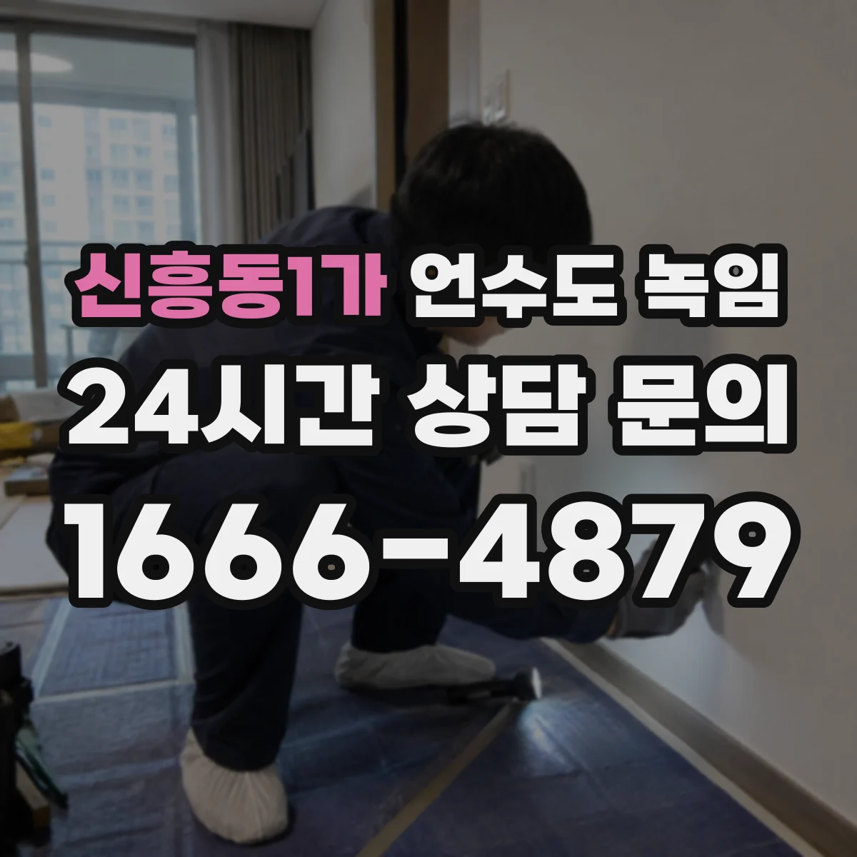 신흥동1가 언수도 녹임