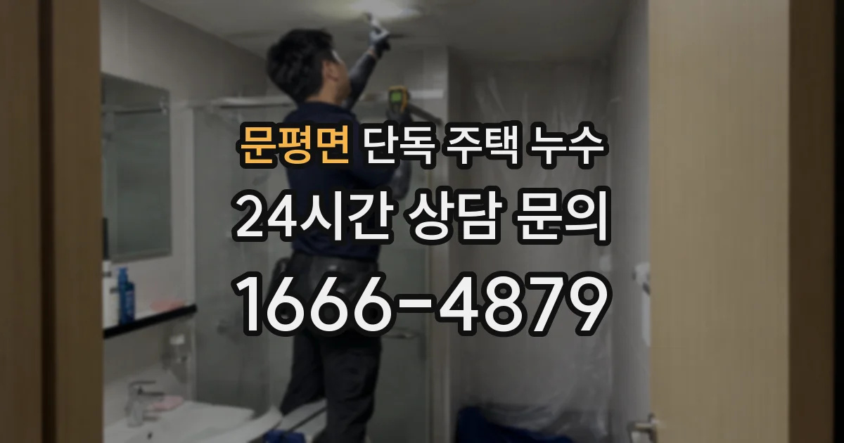 문평면 단독 주택 누수