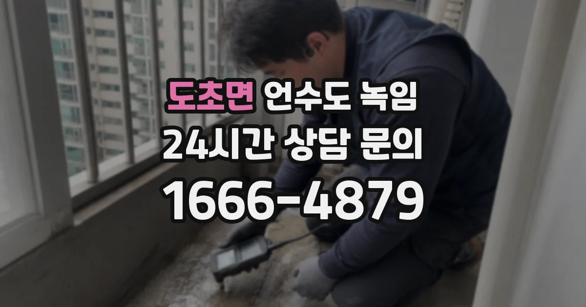 도초면 언수도 녹임