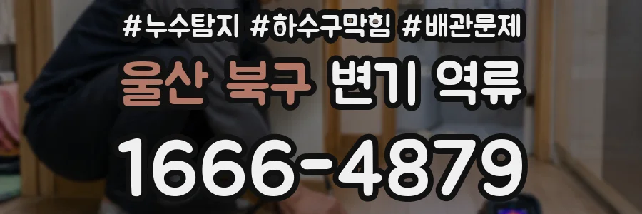 울산 북구 변기 역류