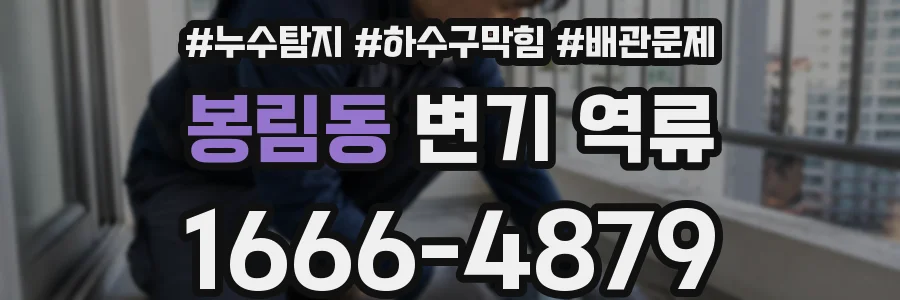 봉림동 변기 역류