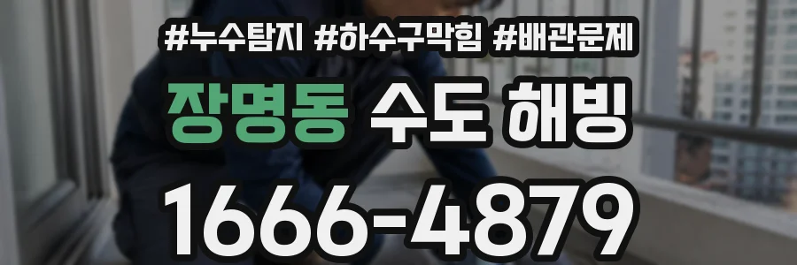 장명동 수도 해빙