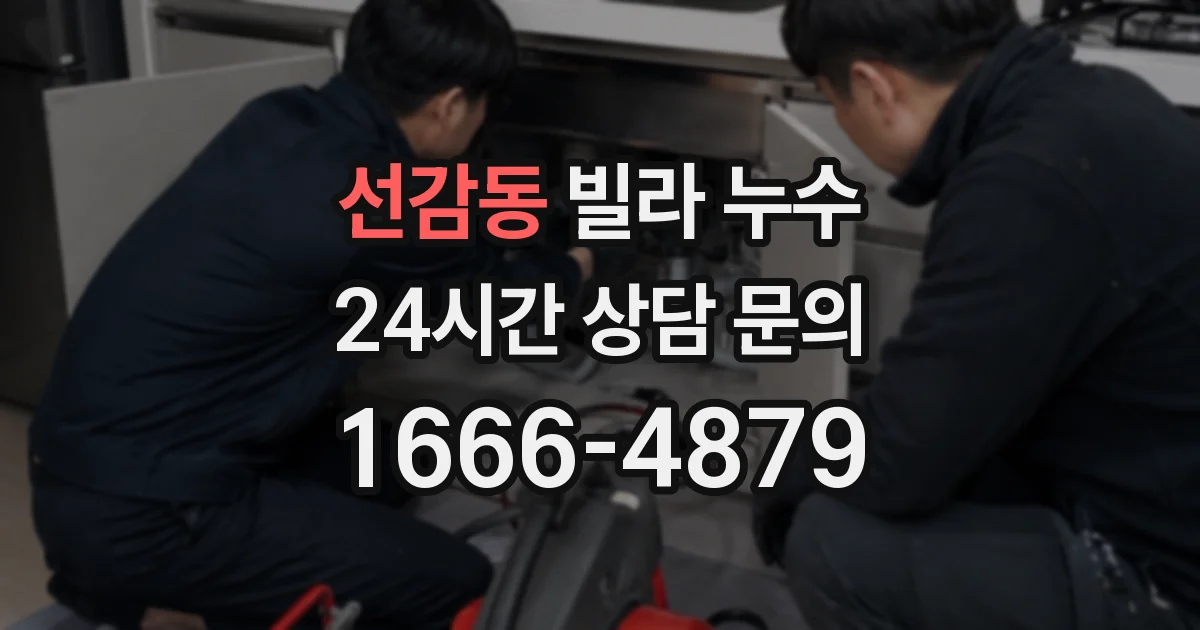 선감동 빌라 누수