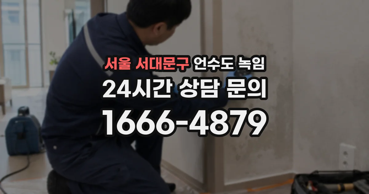 서울 서대문구 언수도 녹임