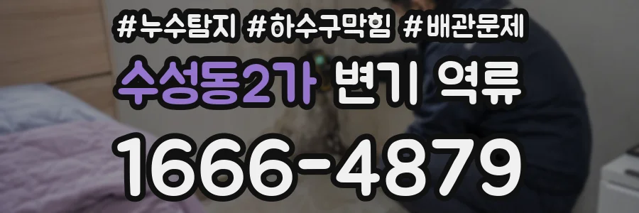 수성동2가 변기 역류