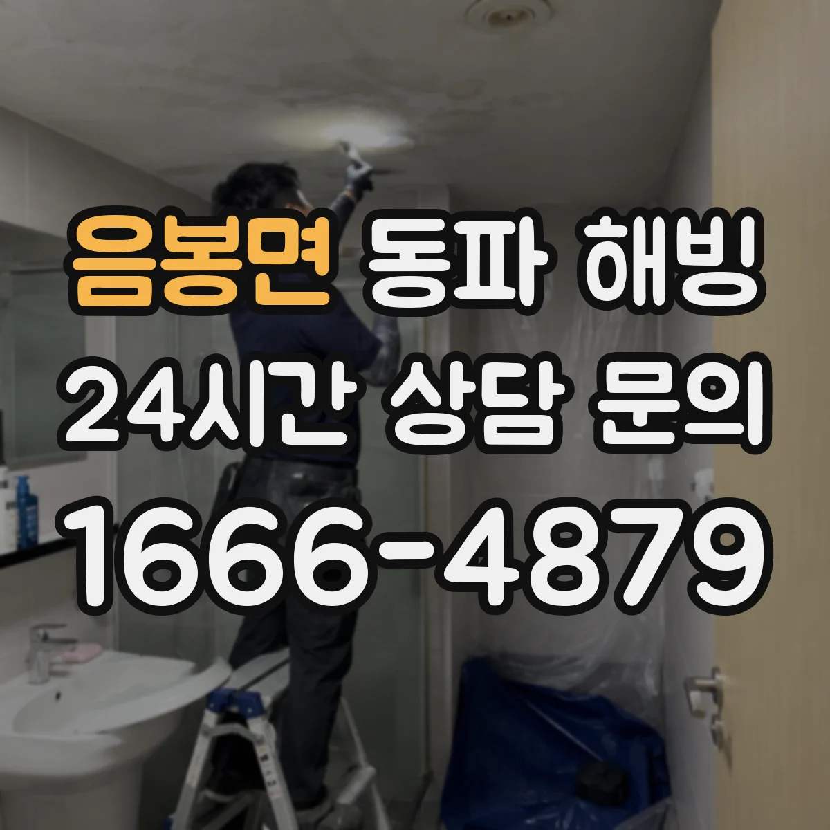 음봉면 동파 해빙
