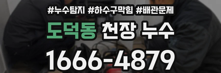 도덕동 천장 누수
