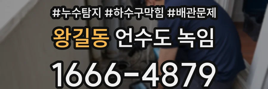 왕길동 언수도 녹임
