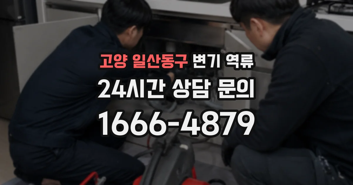 고양 일산동구 변기 역류