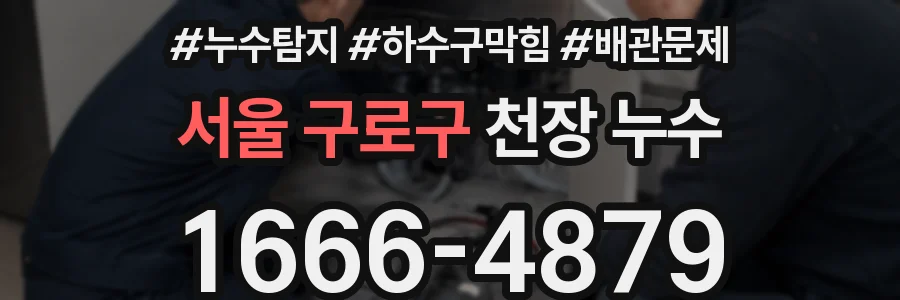 서울 구로구 천장 누수
