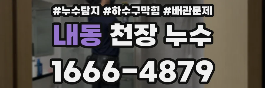 내동 천장 누수