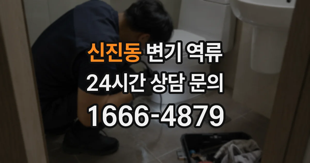 신진동 변기 역류