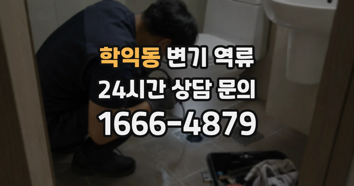 학익동 변기 역류