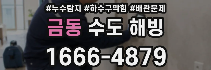금동 수도 해빙