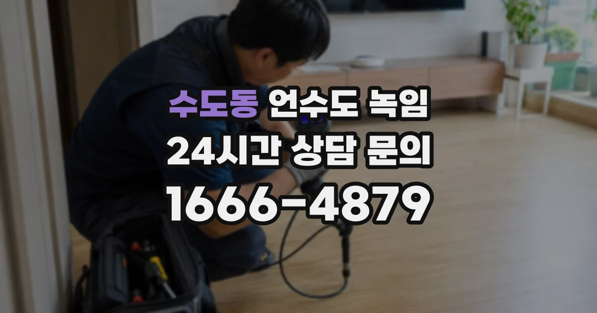 수도동 언수도 녹임