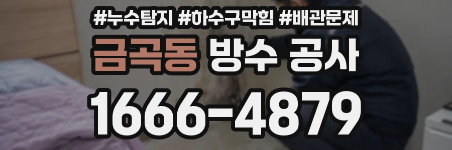금곡동 방수 공사