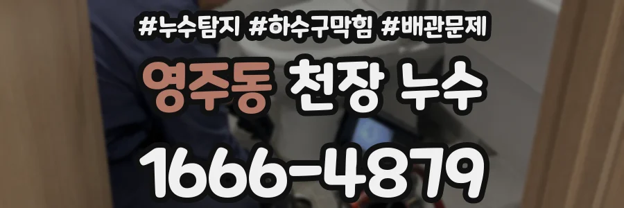 영주동 천장 누수